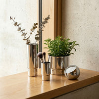 Decorative items including plants and makeup brushes on a wooden surface.