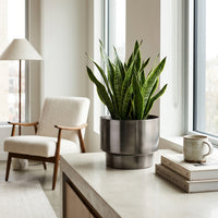Potted plant in a metal planter with a chair and books in a bright room