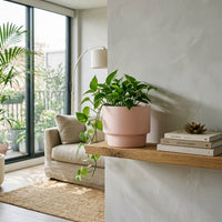 Modern living room with a plant on a wooden shelf, books, and a lamp.