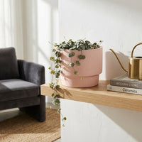 Pink ceramic planter with a plant on a wooden table in a living room setting.