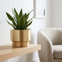 Gold planter with a snake plant on a wooden shelf in a living room.