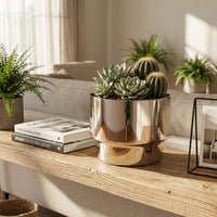 Decorative shelf with potted plants, books, and a photo frame in a home setting.