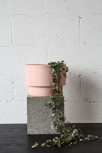 CENTURY POT | Blush - Shop premium Home Decor for modern interiors - premium homewares - luxury home decor online