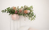 CENTURY POT | Blush - Shop premium Home Decor for modern interiors - premium homewares - luxury home decor online