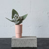 CENTURY MINI VESSEL | Blush